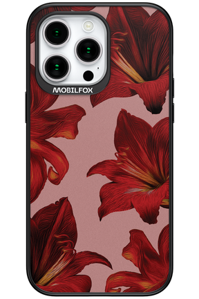 Amaryllis Mist - Apple iPhone 15 Pro Max