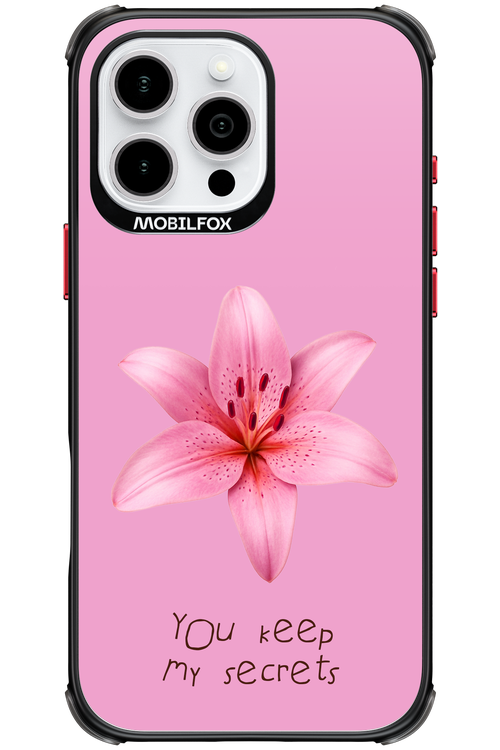 Secrets - Apple iPhone 16 Pro Max