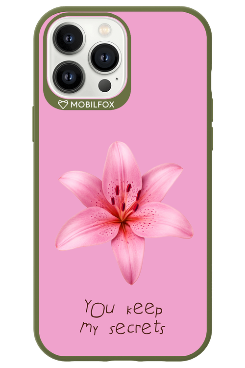Secrets 2.0 - Apple iPhone 13 Pro Max