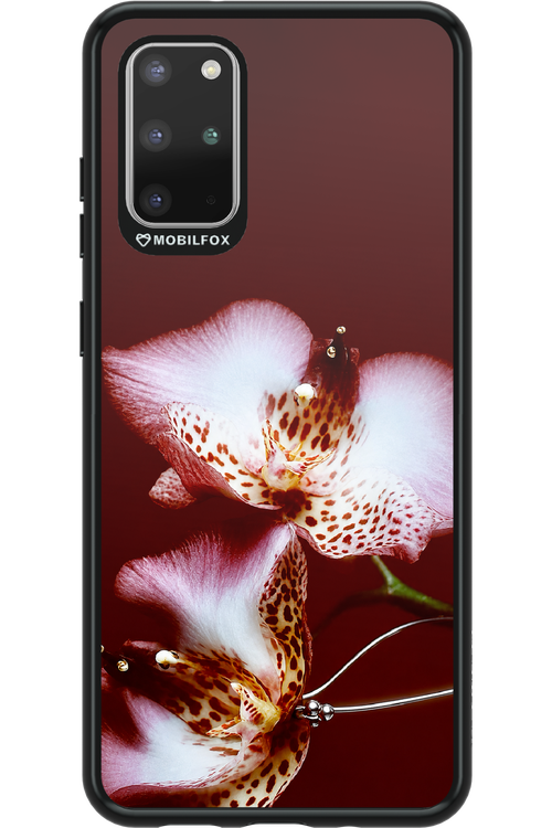 Leobloomy 2.0 - Samsung Galaxy S20+