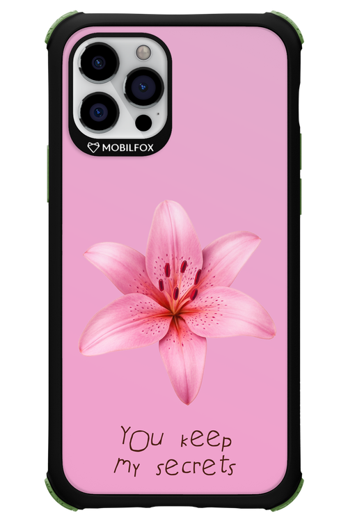 Secrets - Apple iPhone 12 Pro