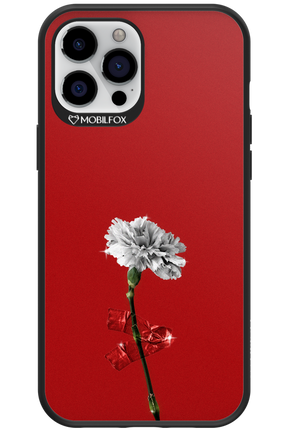 Red Flower - Apple iPhone 12 Pro Max