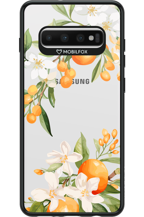 Amalfi Orange 2.0 - Samsung Galaxy S10+