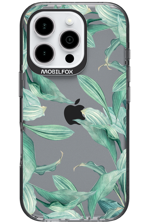 Greenpeace - Apple iPhone 16 Pro