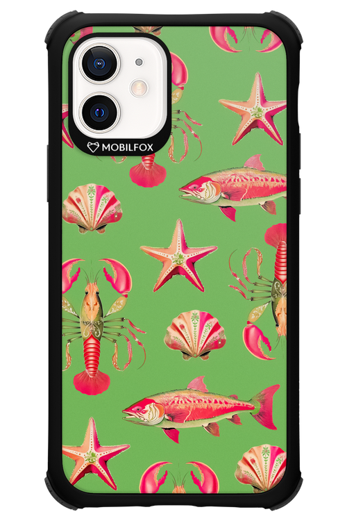 Sea Stars - Apple iPhone 12