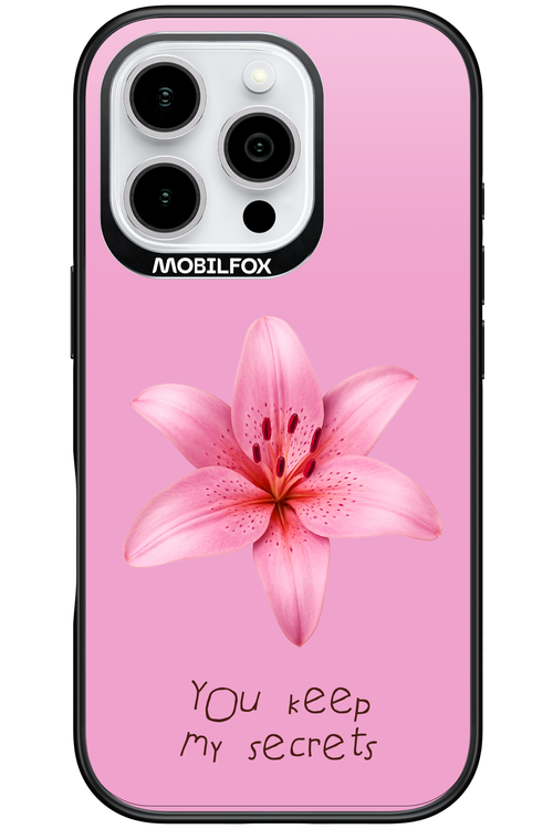 Secrets - Apple iPhone 16 Pro