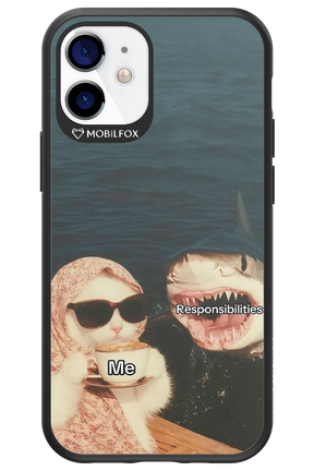 Responsibilities - Apple iPhone 12 Mini