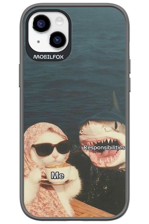 Responsibilities - Apple iPhone 14 Plus