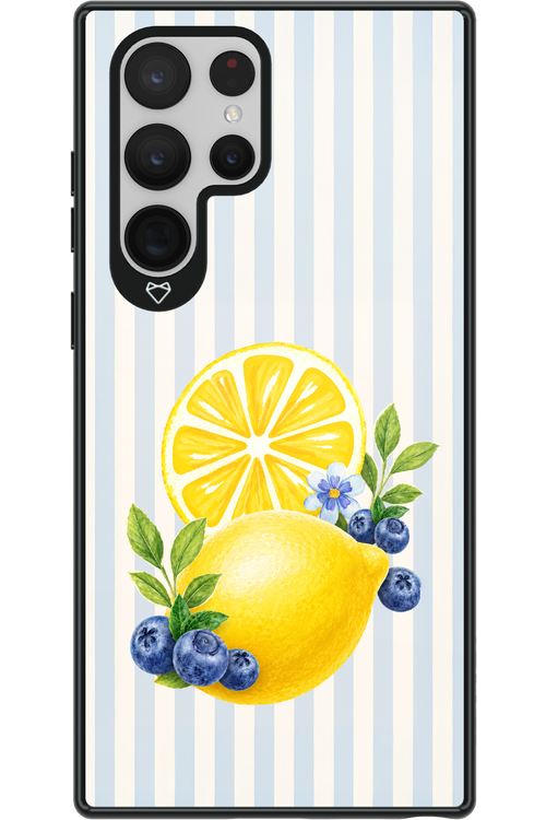 Fresh Flash 2.0 - Samsung Galaxy S22 Ultra