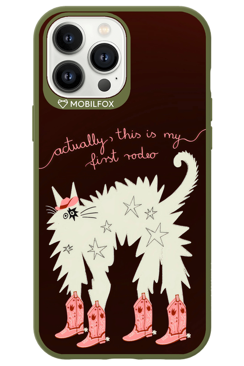 First rodeo 2.0 - Apple iPhone 13 Pro Max