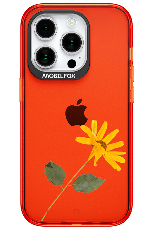 Pressed Flower - Apple iPhone 15 Pro
