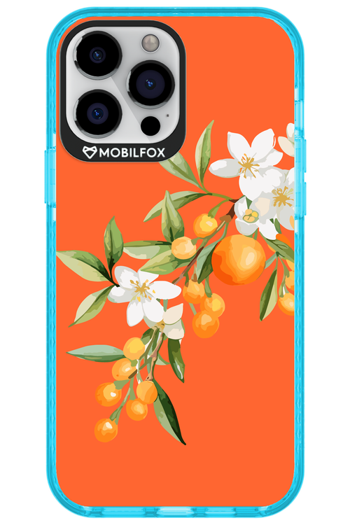 Amalfi Oranges - Apple iPhone 13 Pro Max