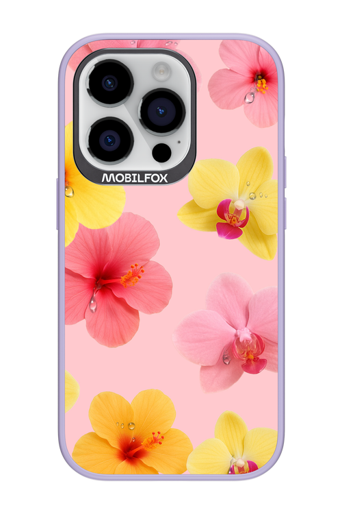 Sunset Flowers - Apple iPhone 14 Pro