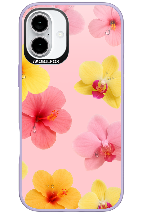 Sunset Flowers - Apple iPhone 16 Plus