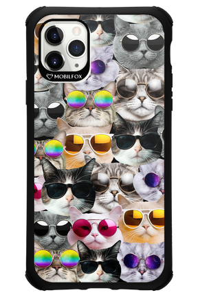 Cat World - Apple iPhone 11 Pro Max