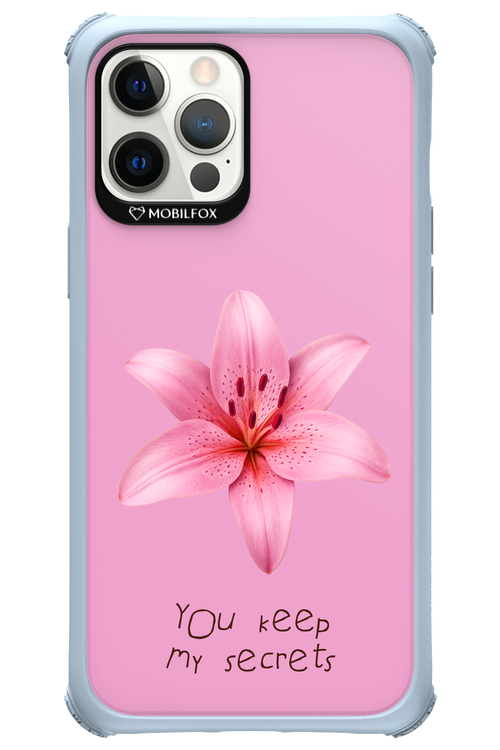 Secrets 2.0 - Apple iPhone 12 Pro Max