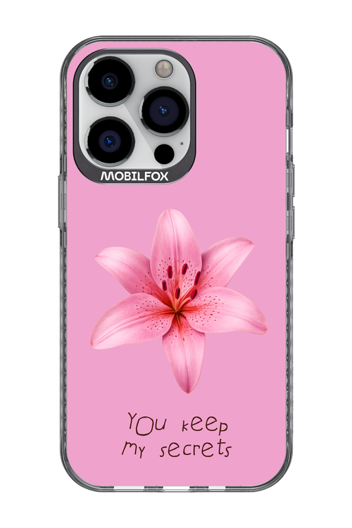 Secrets - Apple iPhone 13 Pro