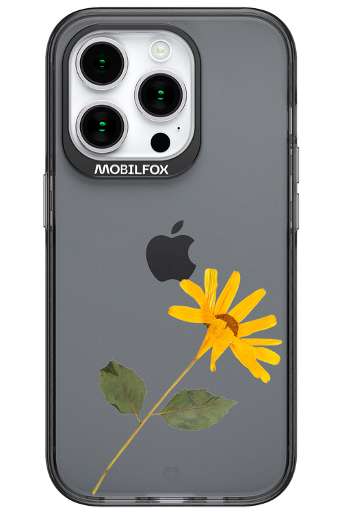 Pressed Flower - Apple iPhone 15 Pro