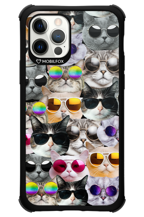 Cat World - Apple iPhone 12 Pro