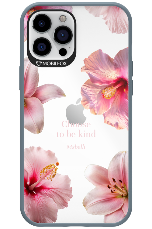 Be Kind 2.0 - Apple iPhone 12 Pro Max