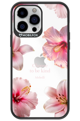 Be Kind 2.0 - Apple iPhone 13 Pro Max